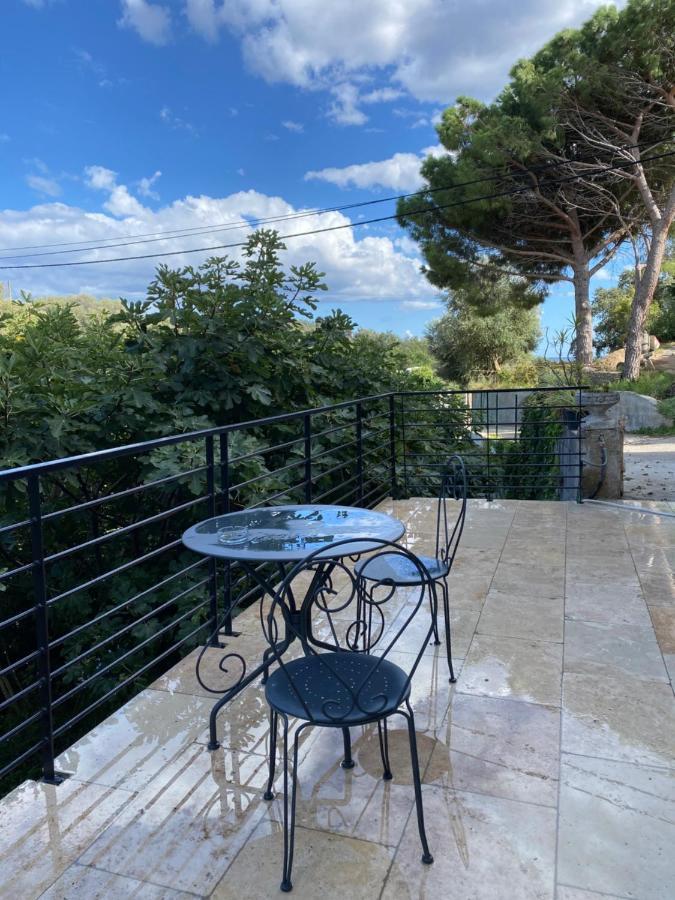 Home Sweet Home 2 Pieces 42 M2 Chambre, Salon, Cuisine, Grande Terrasse, Parking Proche Centre Ville Et Mer باستيا المظهر الخارجي الصورة